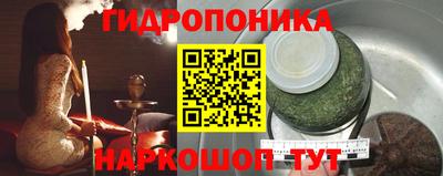 Альфа ПВП Будённовск