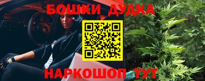 Альфа ПВП Будённовск