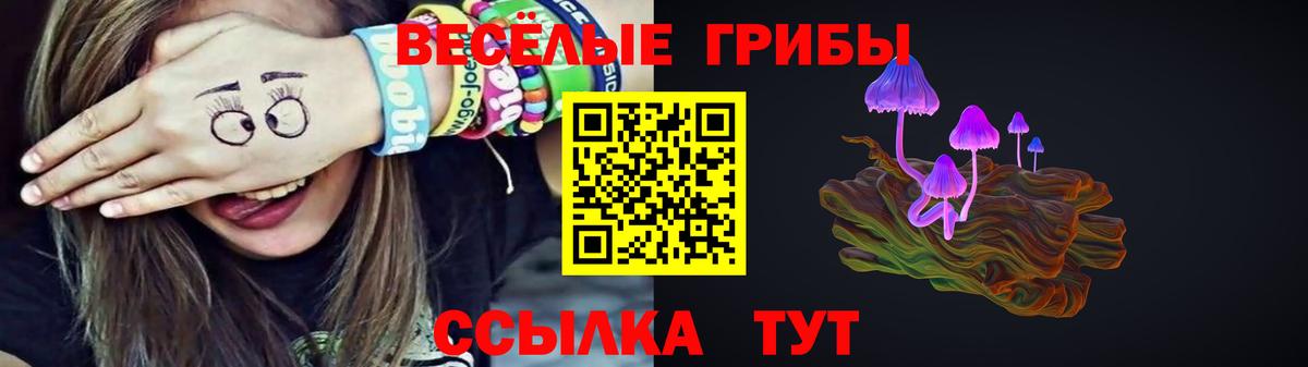 Ставрополь  Галлюциногенные грибы Psilocybine cubensis  Вход с VPN 