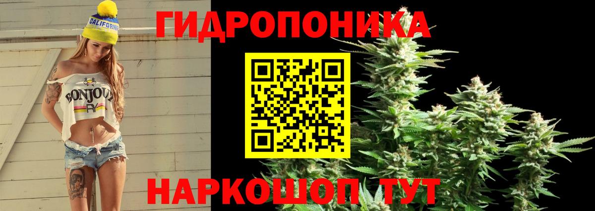 Ставрополь  Каннабис Bruce Banner  Вход с VPN  Шишки марихуана MAZAR  Марихуана семена 